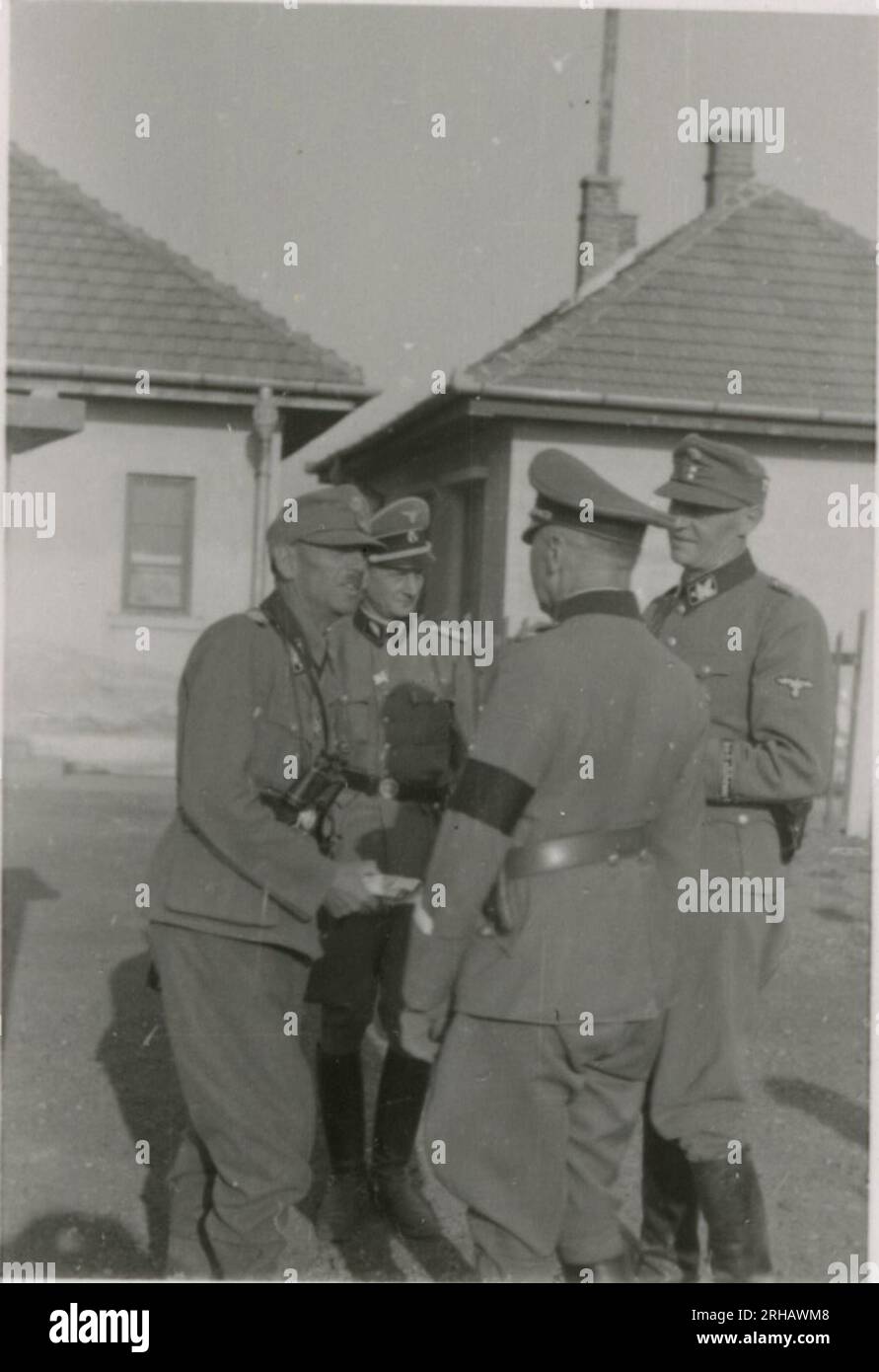 Fotografo delle SS, Homann (1943) molte fotografie dei funerali di Rheinhardt Heydrich; operazioni dell'unità KB - carico su rotaia, attrezzature, studio di registrazione, spettacoli musicali; foto di ritratti di singoli soldati, ufficiali superiori; personale medico; fanteria con cavalli da branco su terreno montuoso; arrampicata su roccia dei soldati; addestramento dei soldati di osservazione di Himmler; indirizzamento di Himmler ai soldati; soldato con cane; festa di Natale; posizioni di combattimento invernali; cimitero militare. Foto Stock