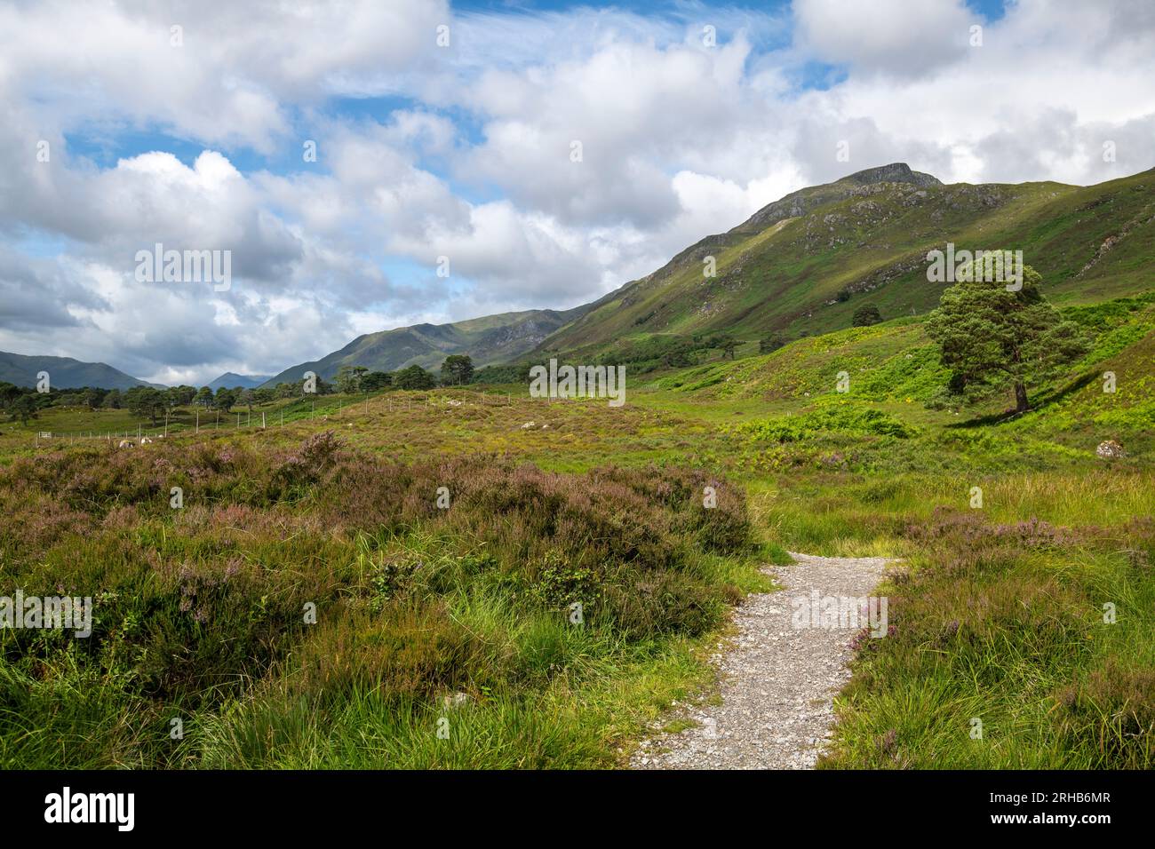 Percorso attraverso Glen Affric vicino a Cannich nelle Highlands scozzesi, Regno Unito Foto Stock