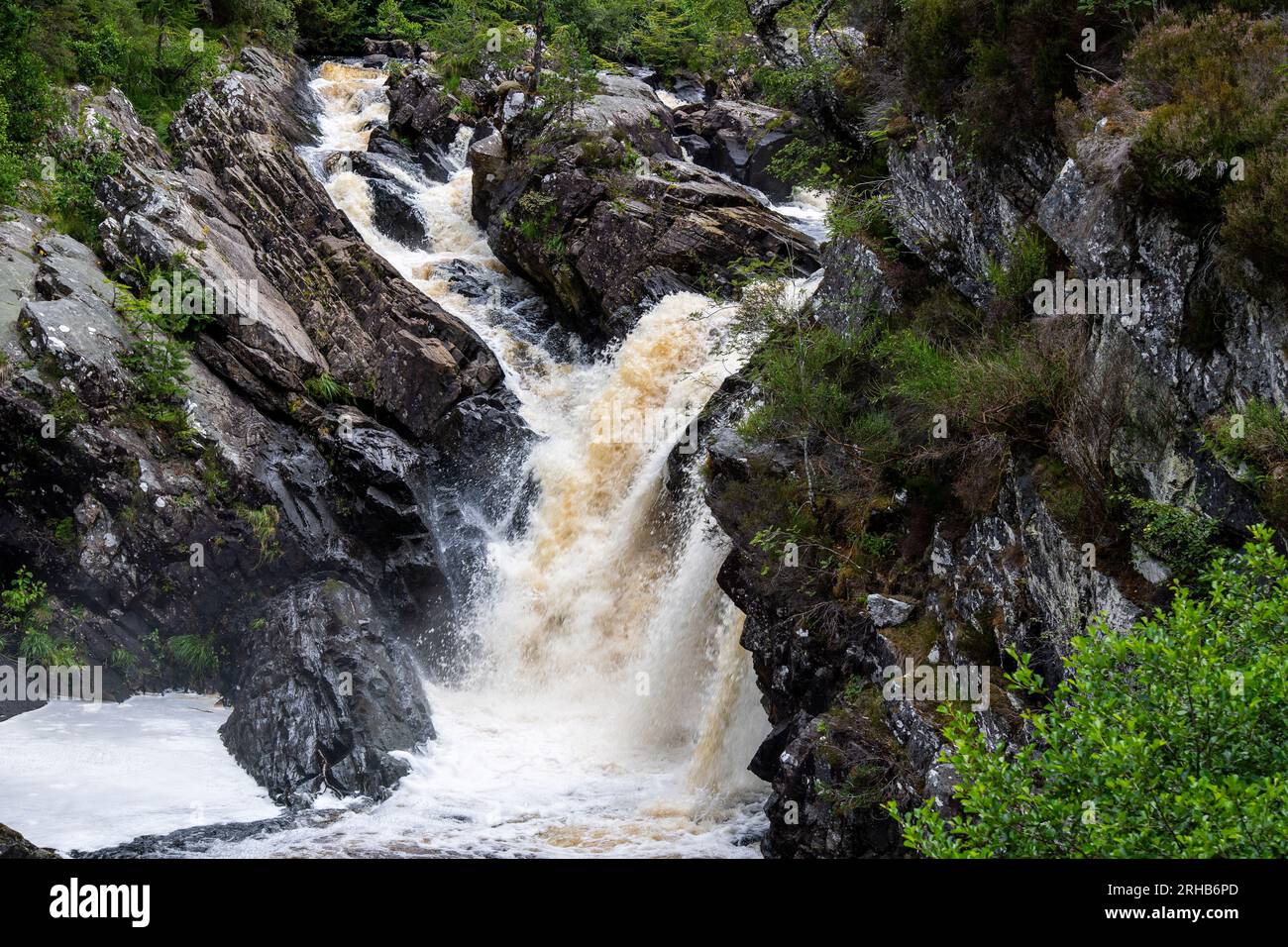 Rogie Falls on the Black Water nel Ross-shire nelle Highlands scozzesi, Regno Unito Foto Stock