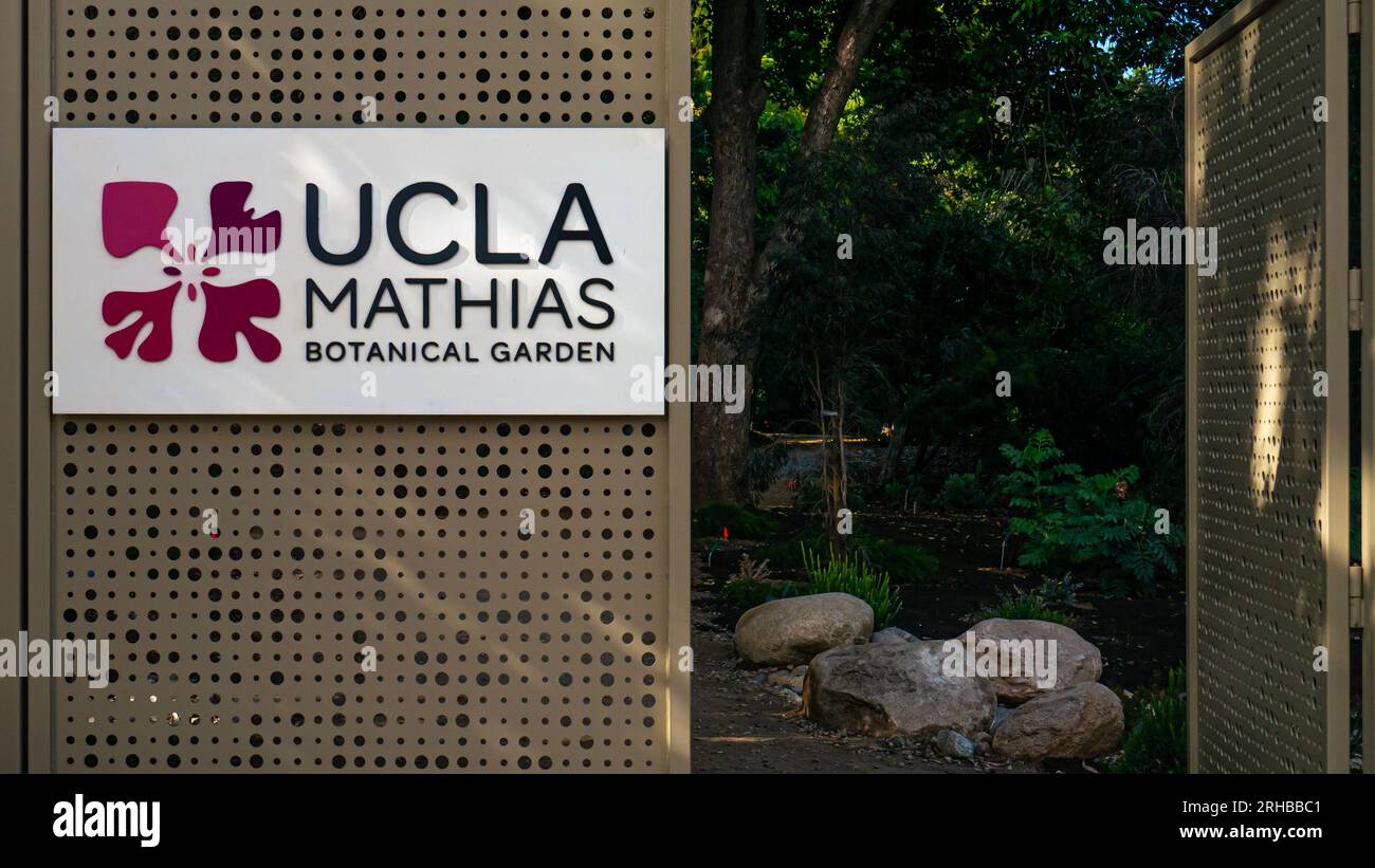 Il Mildred E. Mathias Botanical Garden a UCLA, Westwood, Los Angeles Foto Stock