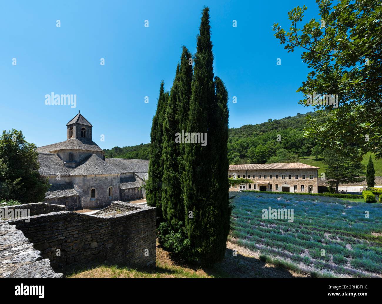 Giardino del monastero Abbay Notre Dame de Sénanque Gordes Provence Francia, Europa Foto Stock