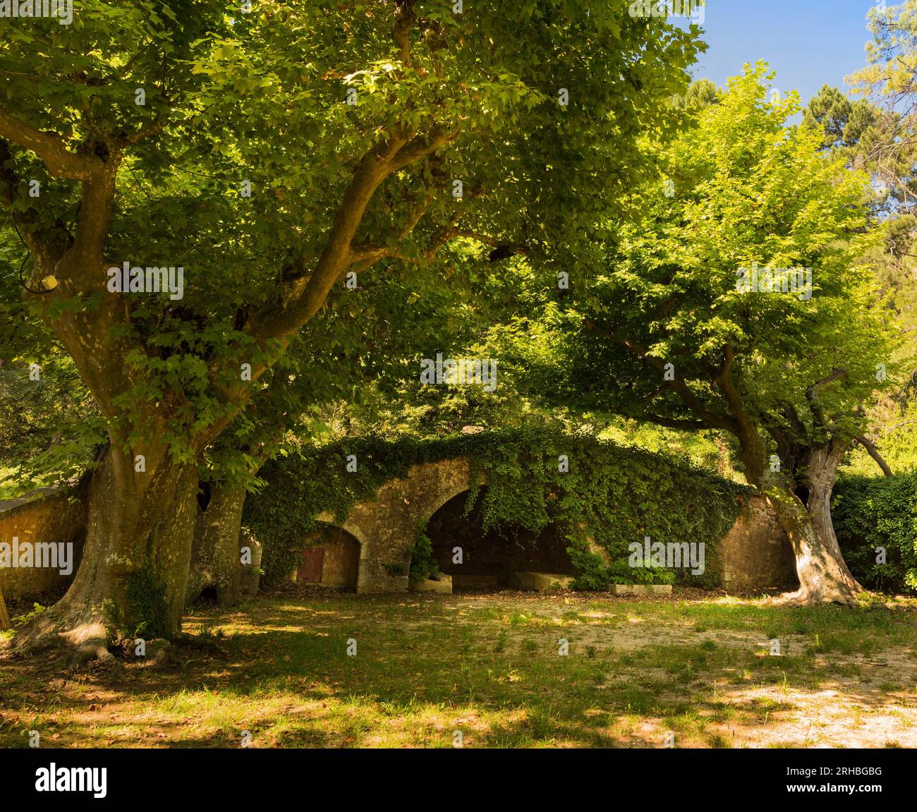 Luogo idilliaco con alberi antichi e mura sotto Roussillon. Vaucluse, Provenza, Francia Foto Stock