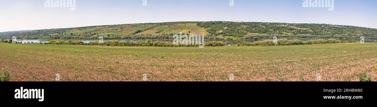 Panorama paesaggistico con campi agricoli lungo il fiume Dniester, Ucraina. Foto Stock