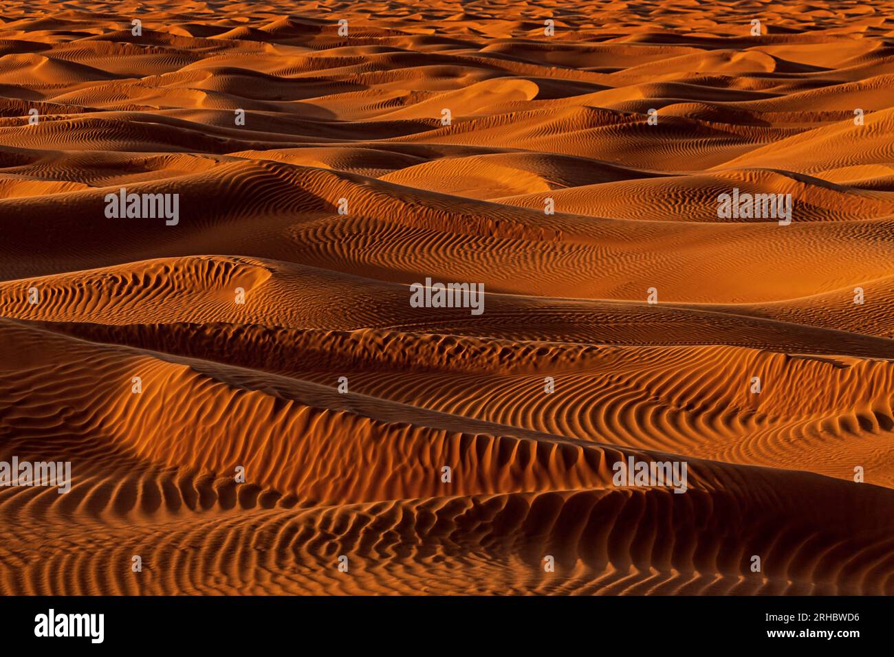 Vista ravvicinata delle dune di sabbia arancione nel deserto, Arabia Saudita Foto Stock