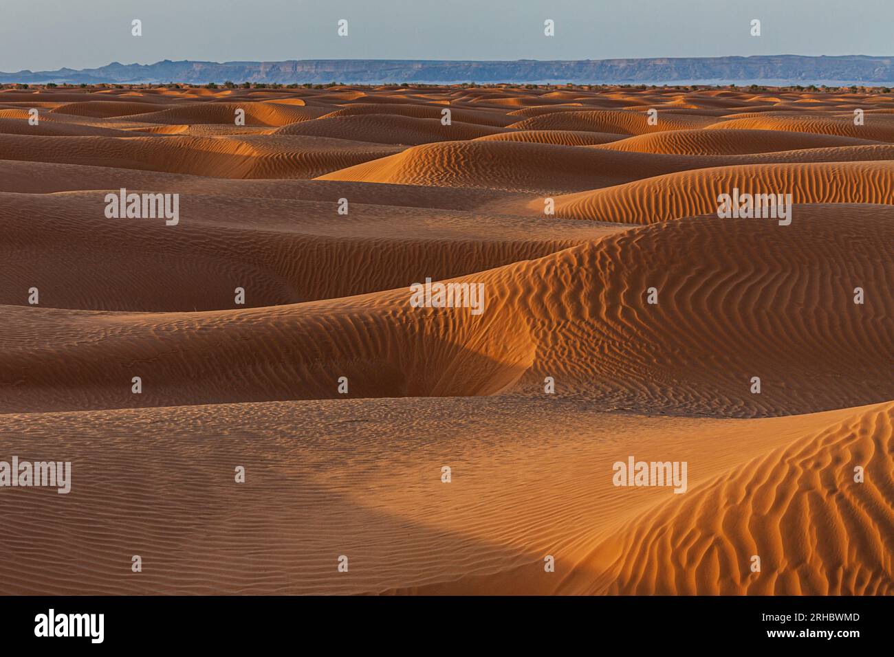 Dune di sabbia arancione nel deserto, Arabia Saudita Foto Stock