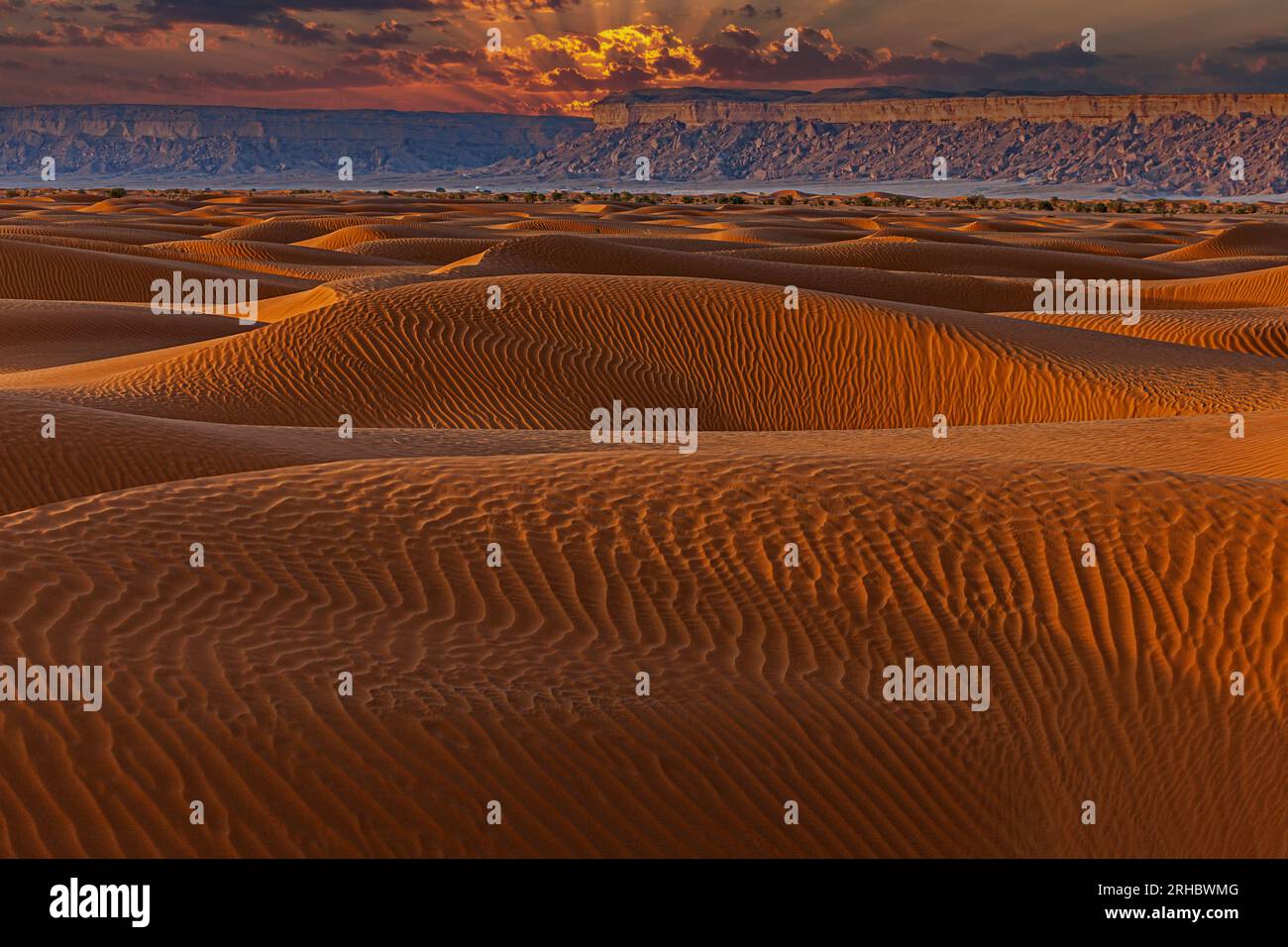 Tramonto sulle dune di sabbia nel paesaggio desertico, Arabia Saudita Foto Stock
