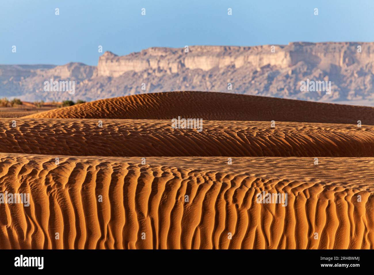 Dune di sabbia ondulate e montagne in un paesaggio desertico, Arabia Saudita Foto Stock