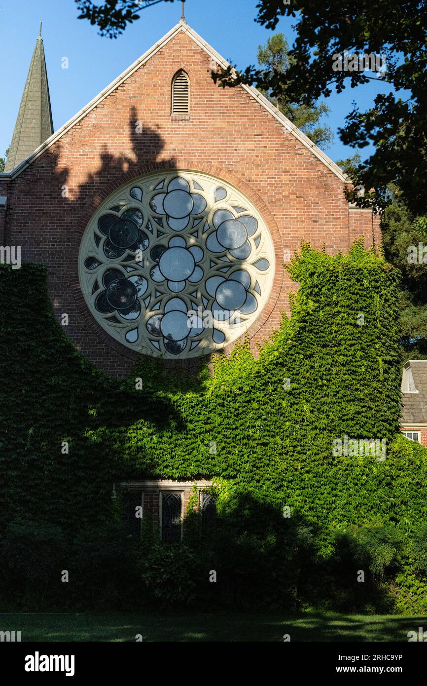 UOP Campus Estate 2023, California Foto Stock