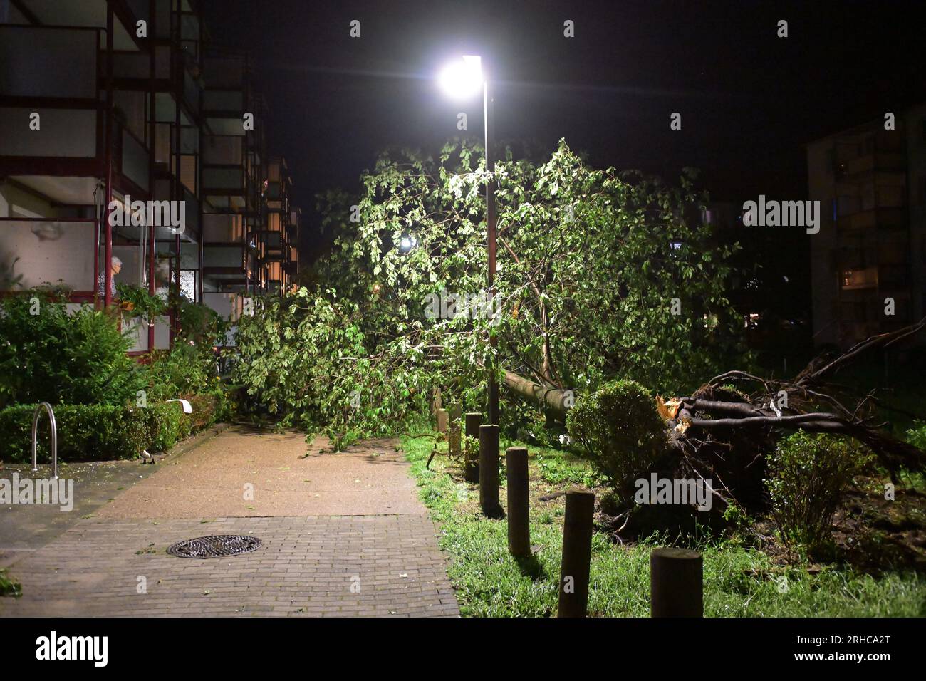 Brandenburg an Der Havel, Germania. 15 agosto 2023. Un albero caduto giace su un marciapiede. Una tempesta ha causato molti danni. Tempeste insolitamente forti mantennero il dipartimento dei vigili del fuoco di Brandeburgo in piedi, soprattutto nel sud e nell'est dello stato Credit: Michael Bahlo/dpa/Alamy Live News Foto Stock