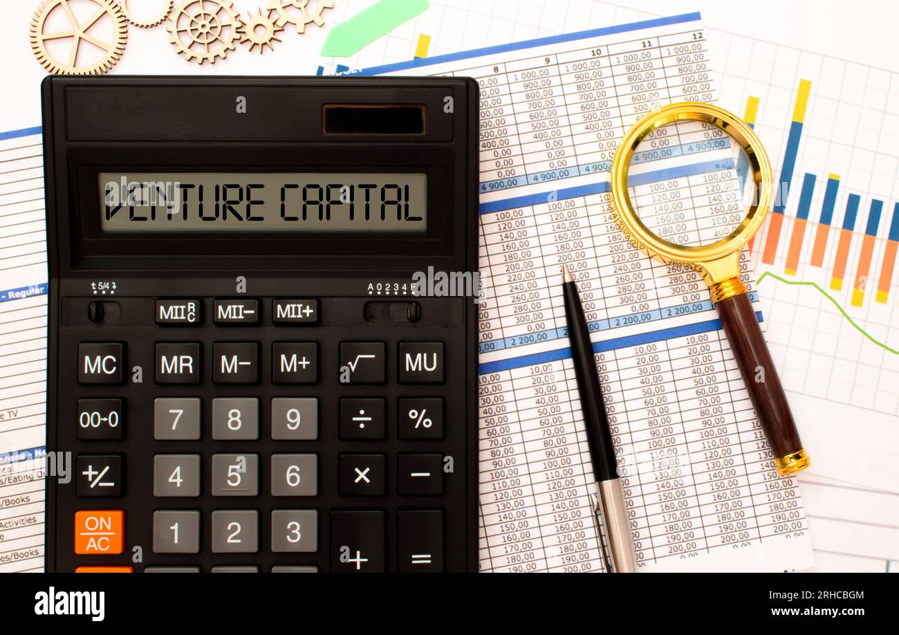 Business, tecnologia, Internet e concetto di rete. Giovane uomo d'affari che lavora su uno schermo virtuale del futuro e vede l'iscrizione: Venture capi Foto Stock
