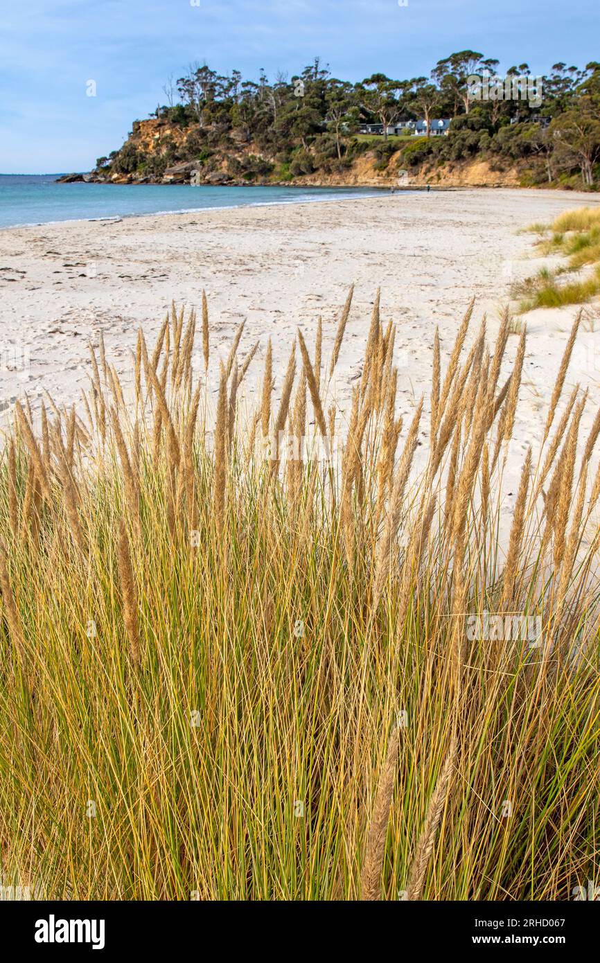 Spring Beach, Tasmania Foto Stock