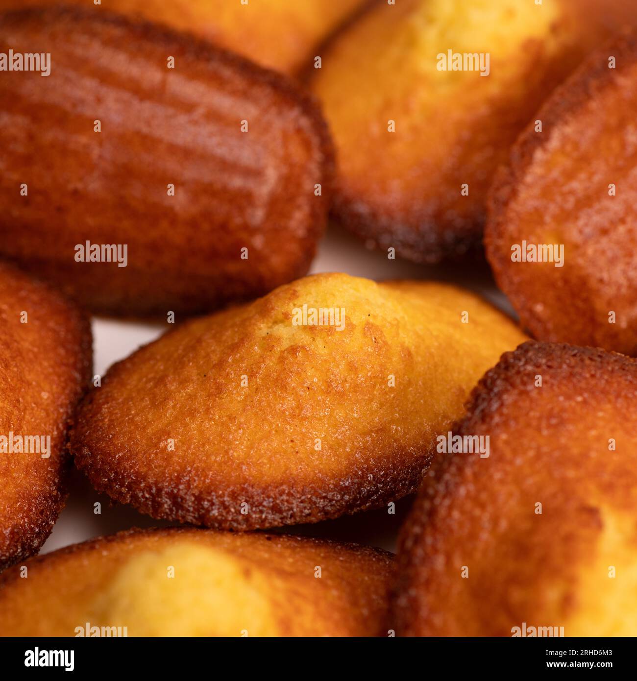 Deliziosa torta madeleine su sfondo bianco Foto Stock