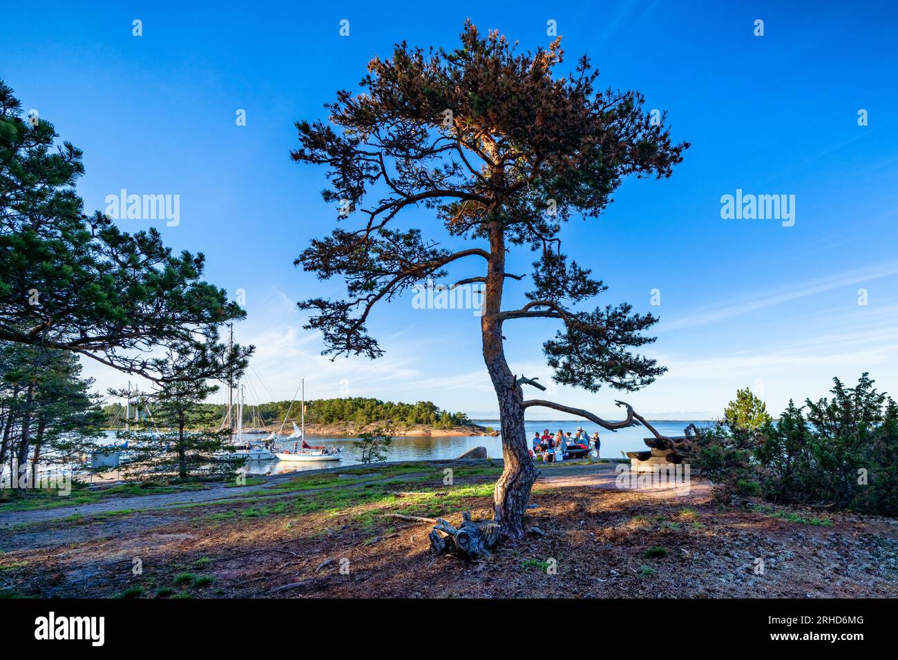 Serata alle isole Äggskär, Porvoo, Finlandia Foto Stock