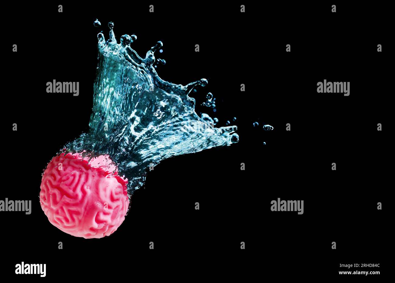 Primo piano di un modello cerebrale umano sommerso dall'acqua con schizzi su sfondo nero. Foto Stock