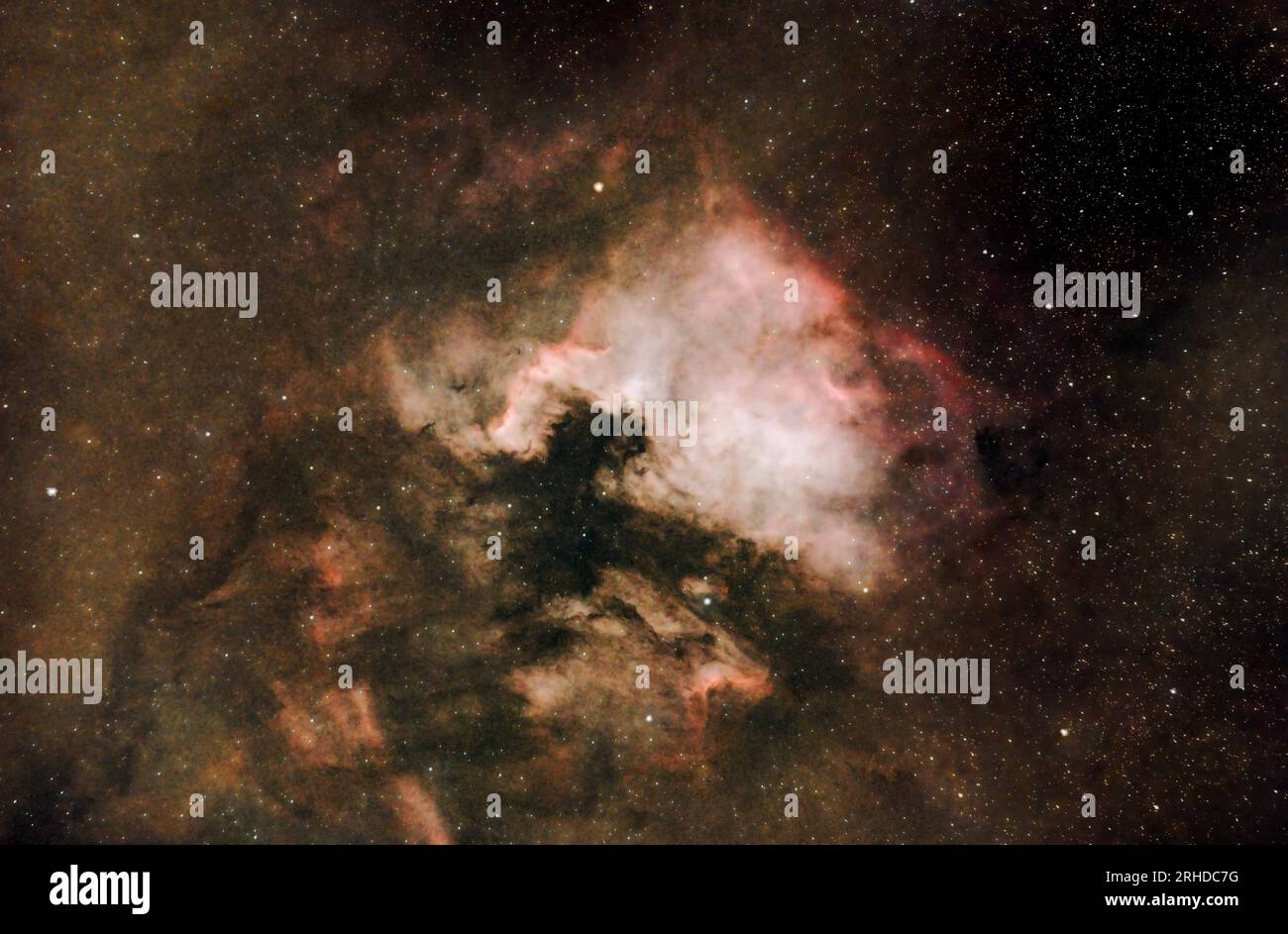 NGC 7000 North America Nebula scattata attraverso un obiettivo da 300 mm e una fotocamera mirrorless Nikon Z7 montata su un supporto equatoriale EQ-5 Foto Stock