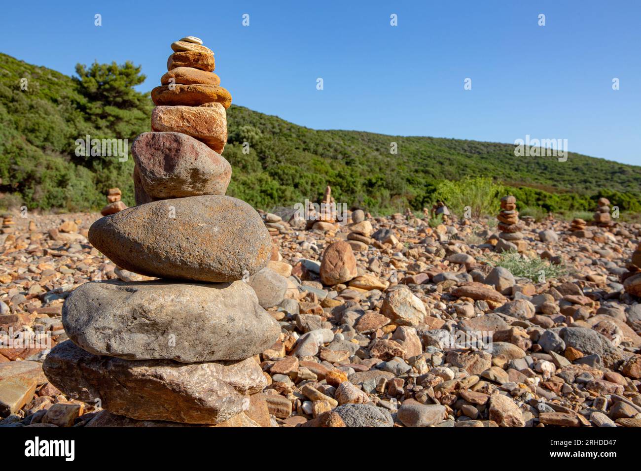 Z %G Foto Stock