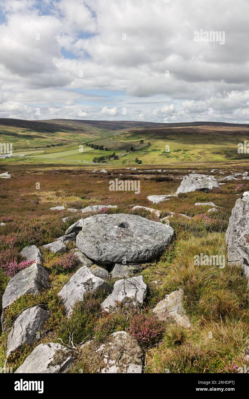 Macina parzialmente scolpita tra la fioritura di heather su Eggleston Common con la vista verso Middleton Common, Teesdale, County Durham, Regno Unito Foto Stock