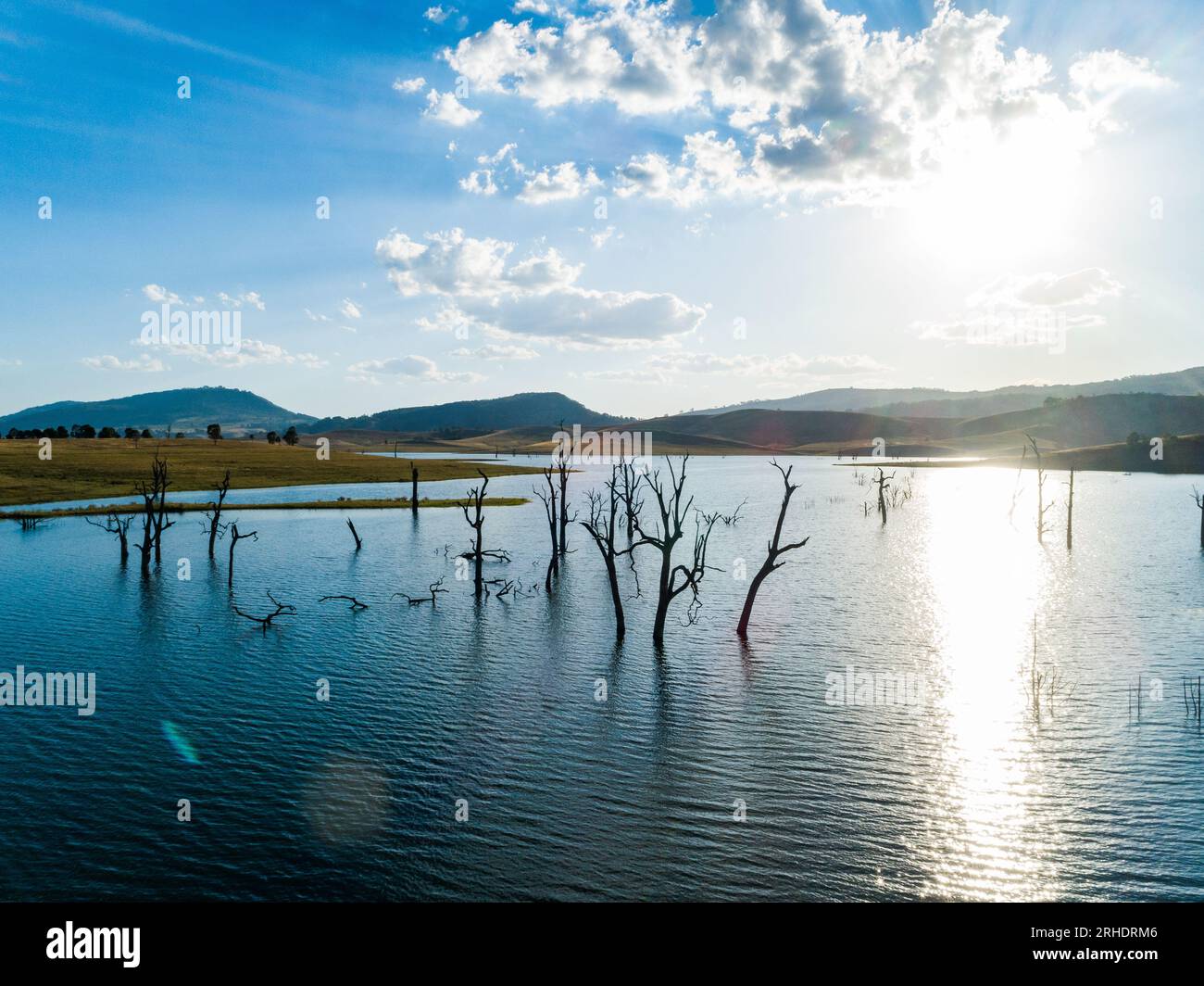Alberi morti nel lago St Clair nella Hunter Valley in Australia, con luce argentata del sole che tramonta e cielo blu Foto Stock