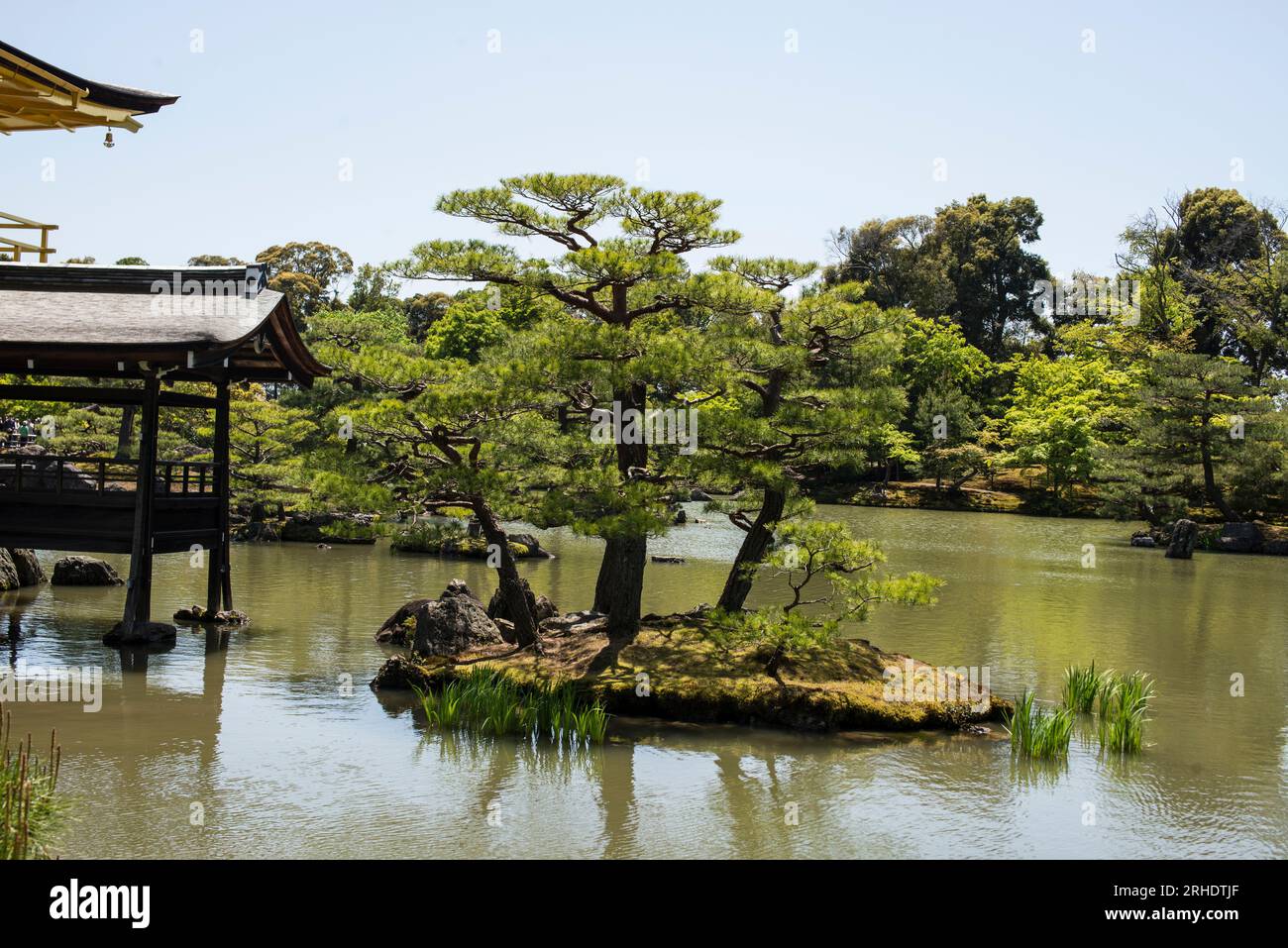 Golden Pavilion, Kyoto, Giappone Foto Stock