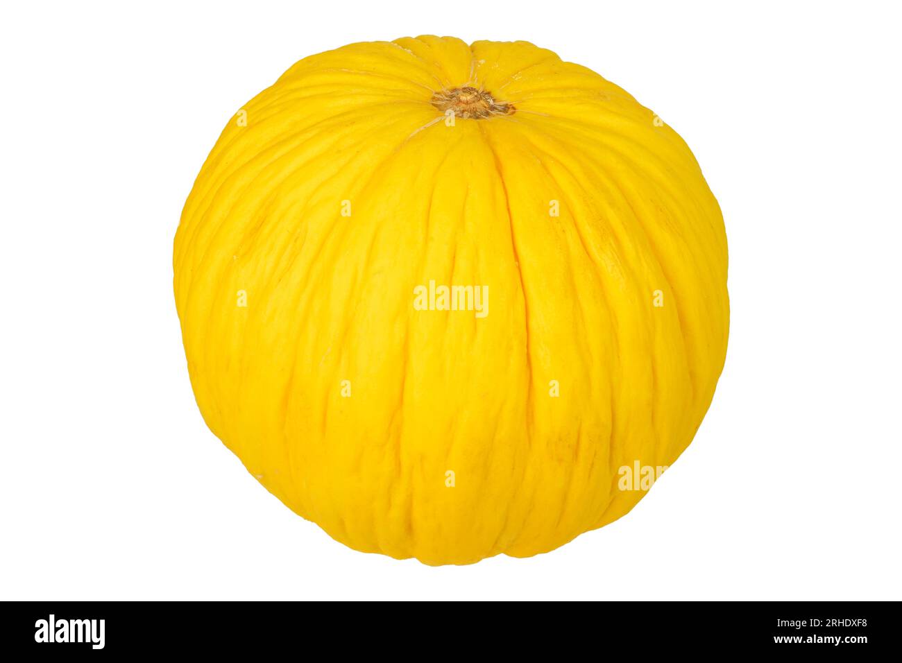 Zucca gialla senza sfondo. Decorazioni autunnali e autunnali. Foto Stock