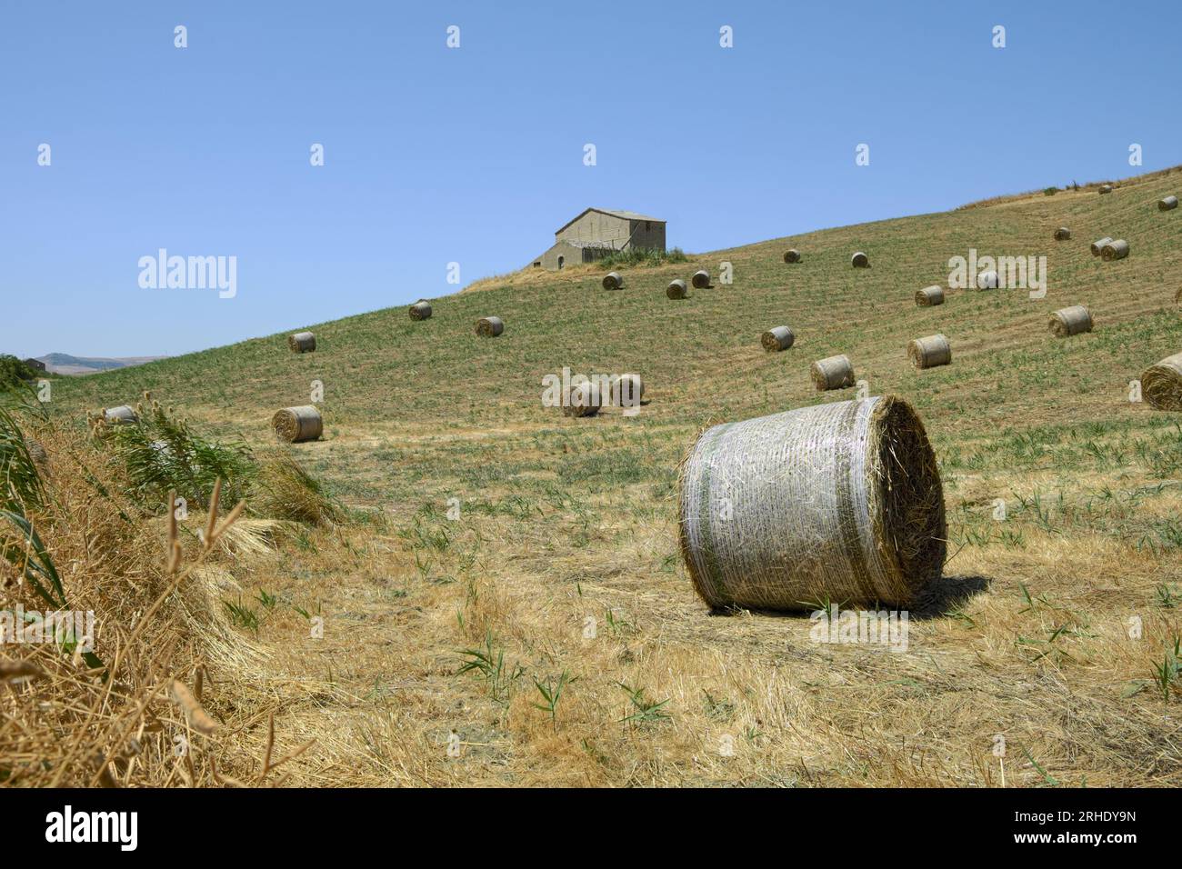 Balle di fieno e fattoria nella Sicilia occidentale, Italia Foto Stock