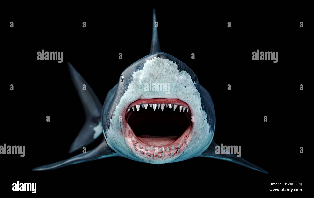 Spaventoso grande squalo bianco che nuota sott'acqua Vista frontale Megalodon con grande bocca aperta e denti è lo squalo più predatore dell'oceano Foto Stock