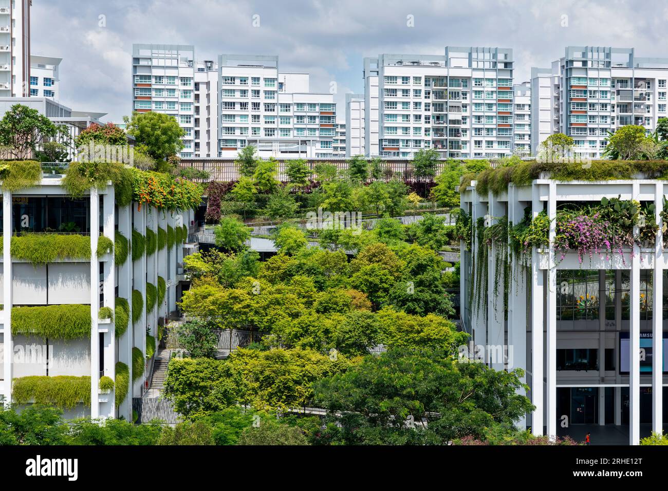 Oasis Terraces a Singapore, un tetto verde fornisce una soluzione urbana basata sulla natura per affrontare sfide ambientali come il cambiamento climatico. Foto Stock