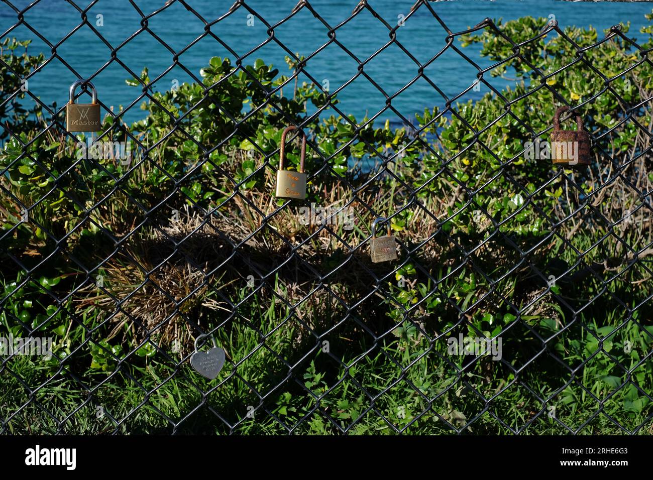 Le serrature Love attaccate a una recinzione in rete metallica che si affaccia sull'oceano, sono incise con i motti dei nomi degli amanti, "Always Forever" a Cronulla, Sydney Foto Stock