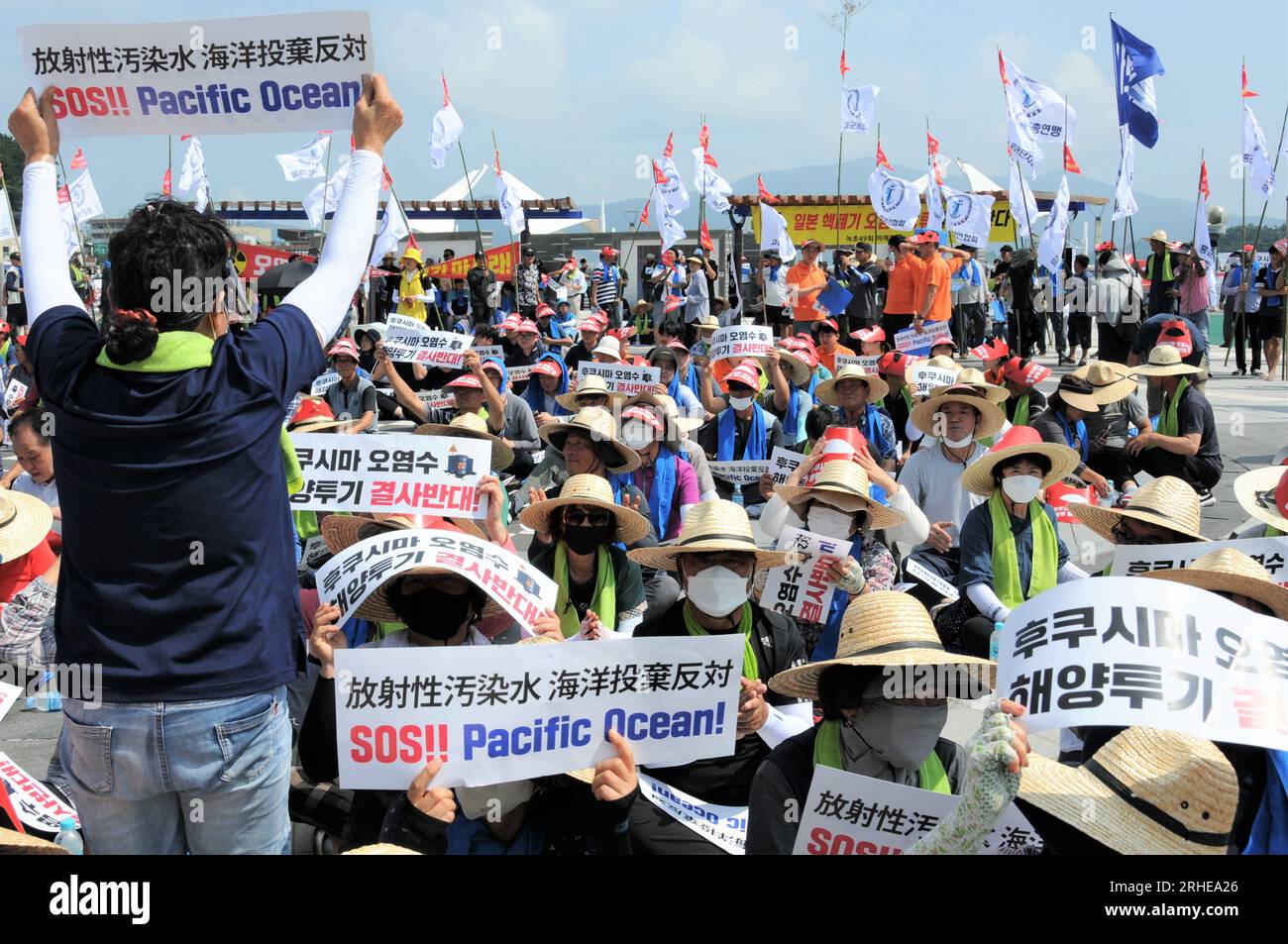 Goheung, Corea del Sud. 16 agosto 2023. I pescatori sudcoreani partecipano a una manifestazione per opporsi al previsto scarico del Giappone di acque reflue radioattive nell'oceano nella contea costiera meridionale di Goheung, Corea del Sud, 16 agosto 2023. Credito: Zhou Siyu/Xinhua/Alamy Live News Foto Stock