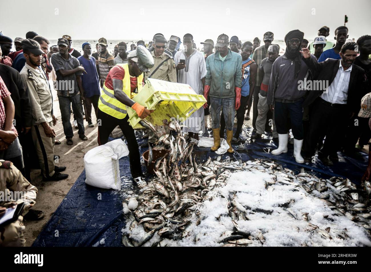 Nouakchott, Mauretanien. 14 agosto 2023. Controllo della pesca durante una visita al piccolo porto di pesca di Nouakchott, 14/08/2023. Copyright: Leon Kuegeler/photothek.de credito: dpa/Alamy Live News Foto Stock