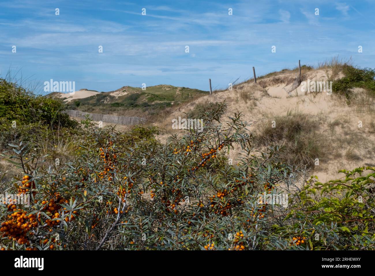 Dunes de la Slack nella regione degli Hauts de France, in Francia Foto Stock