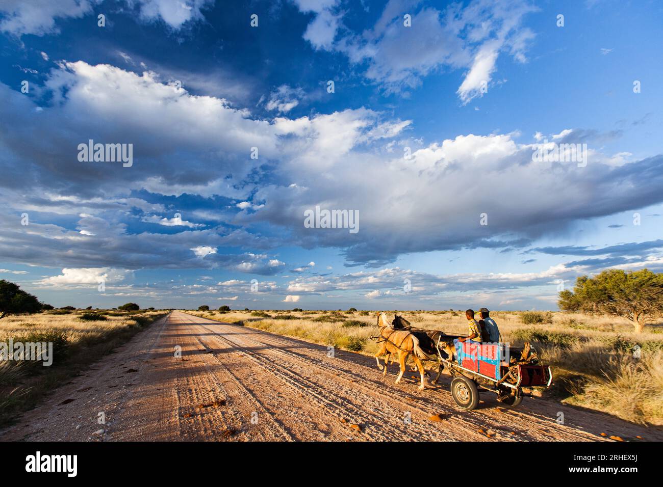 Trasporto in carrozza trainata da cavalli su strada di ghiaia rurale con cielo blu e nuvole di gonfiori in Namibia paese rurale povero in via di sviluppo Africa Foto Stock