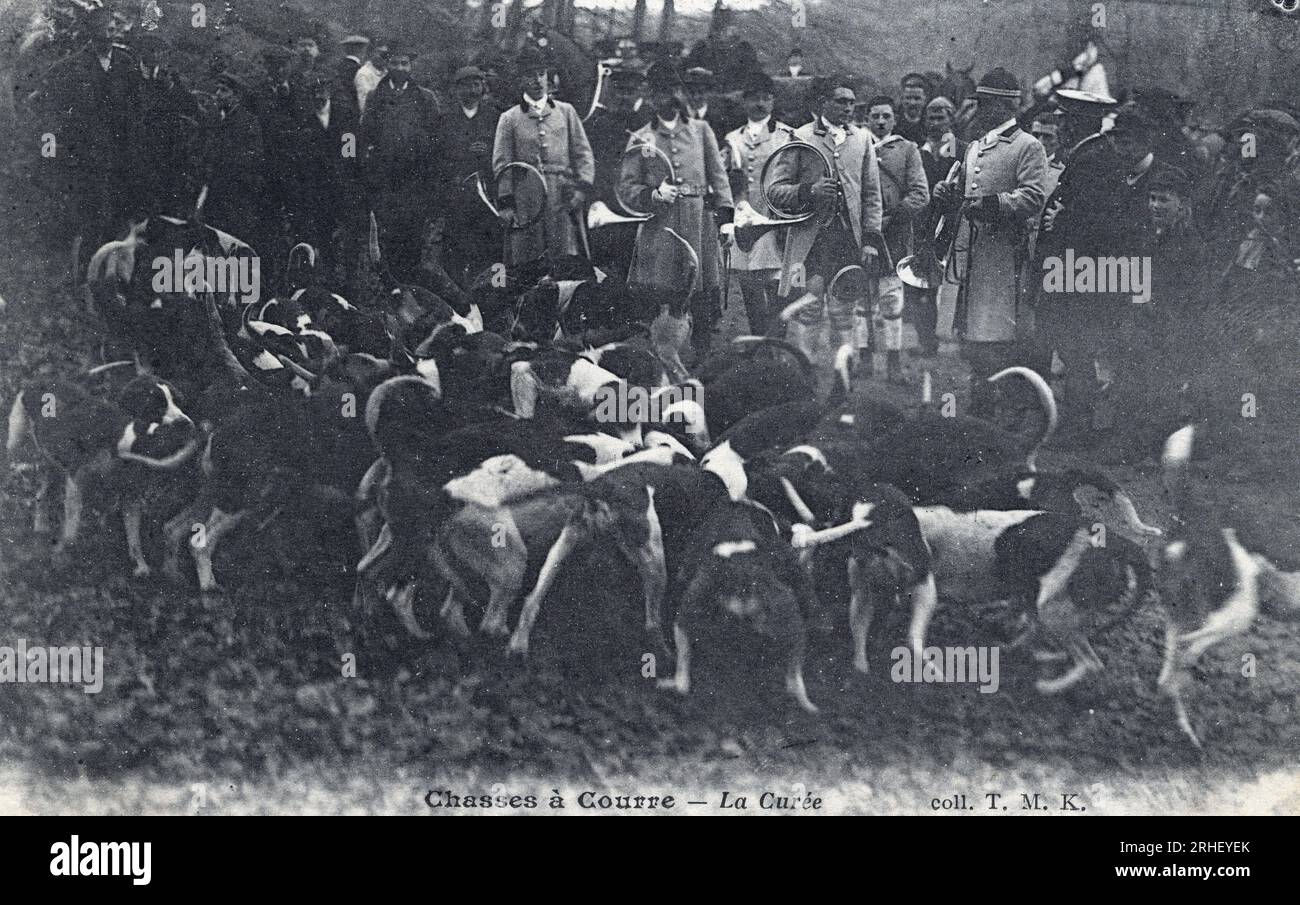 Chasse a courre : la curee - carte postale fin 19eme-debutto 20eme siecle Foto Stock