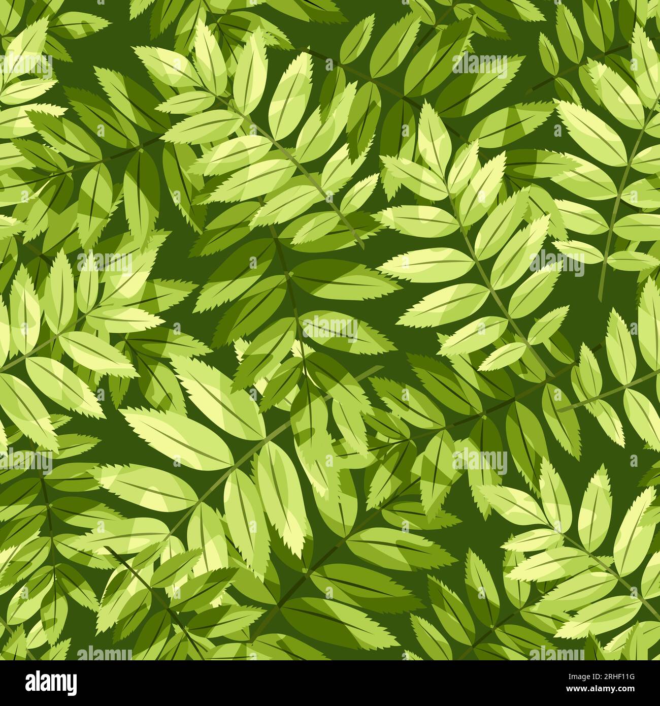 Motivo senza cuciture con foglie verdi di rowan. Stampa floreale vettoriale Illustrazione Vettoriale