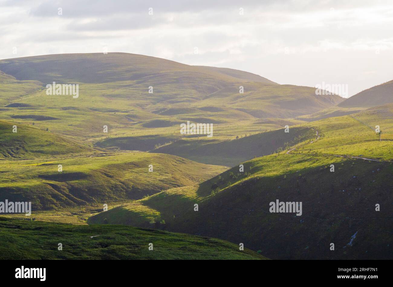 Paesaggio estivo della catena montuosa di Cairngorms vicino a Cairn Gorm nel Parco Nazionale di Cairngorms nelle Highlands scozzesi della Scozia, Regno Unito - foto: G Foto Stock