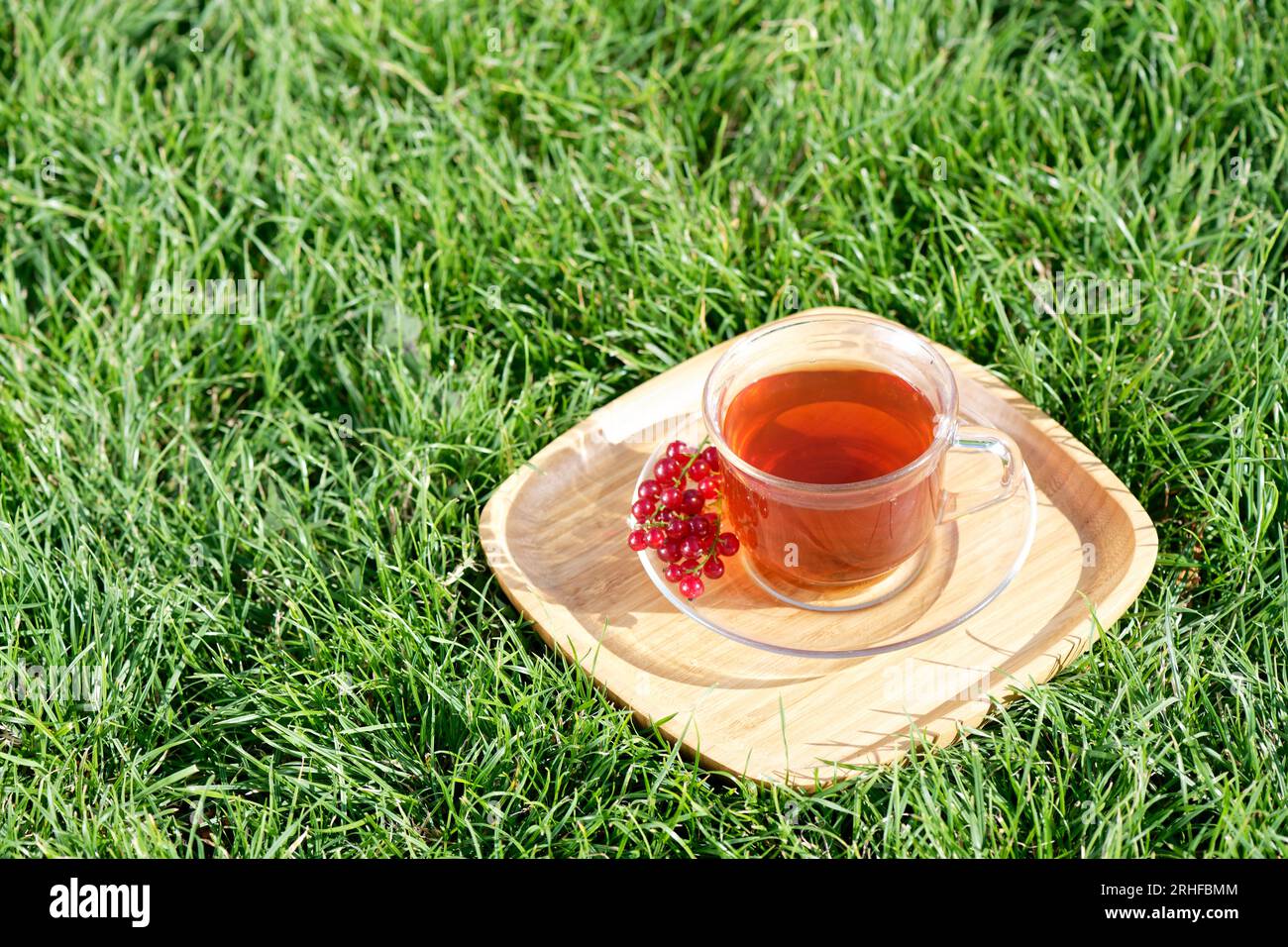 Una tazza di tè sullo sfondo verde Foto Stock