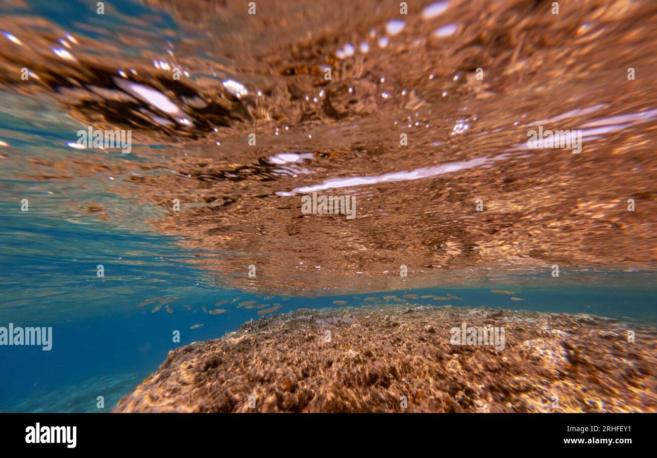 Vista subacquea. Piccoli pesci vicino alle rocce e riflessi nell'acqua. Foto Stock