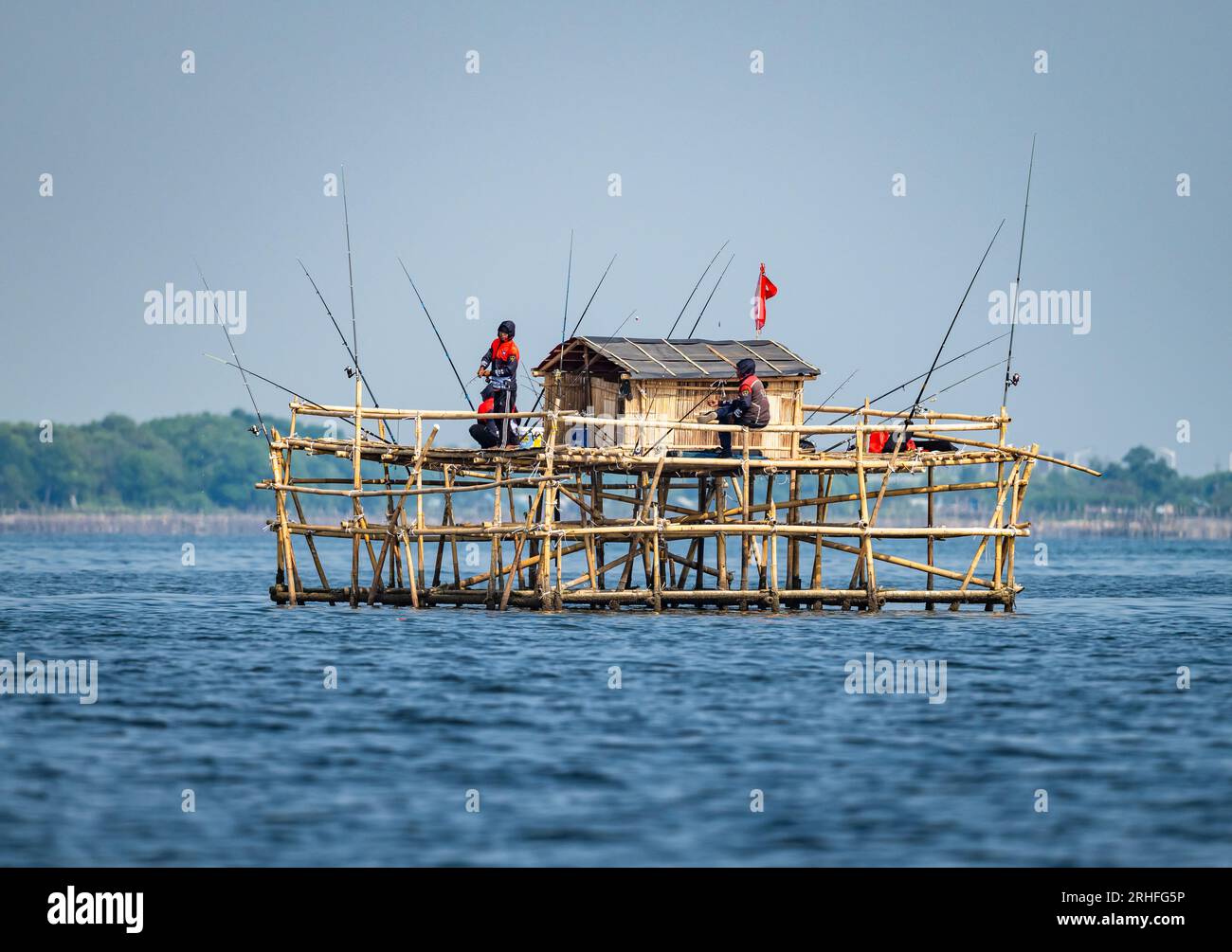 La gente del posto pesca su un altopiano di bambù che si stende sopra l'acqua. Giava, Indonesia. Foto Stock