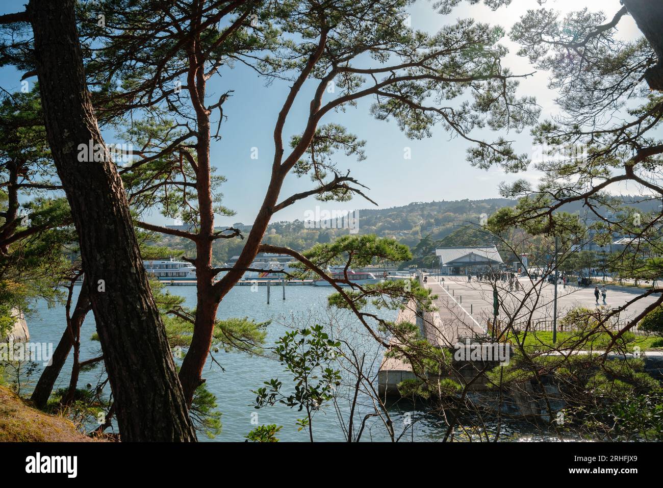 Vista del porto di Matsushima con verdi pini a Miyagi, Giappone Foto Stock