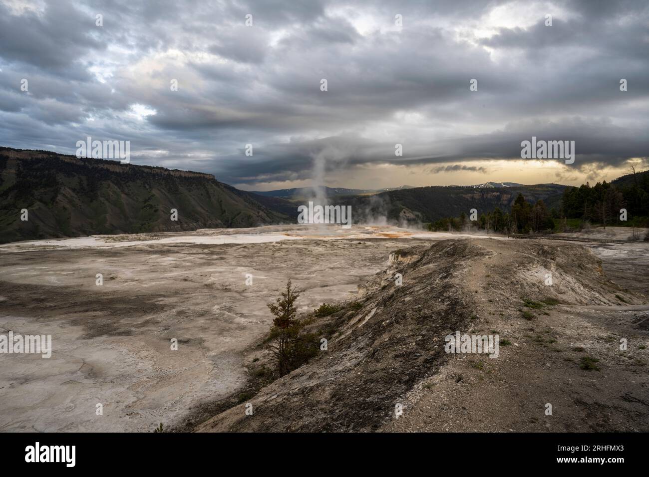 Terrazza principale. Mammoth Hot Springs. Parco nazionale di Yellowstone. Vicino all'entrata nord. Foto Stock