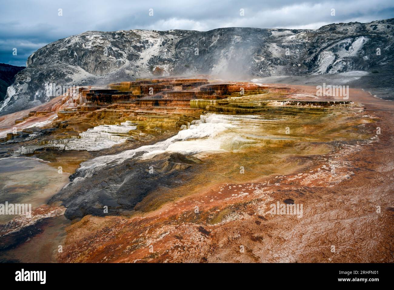 Minerva Terrace. Mammoth Hot Springs. Parco nazionale di Yellowstone. Vicino all'entrata nord. Foto Stock