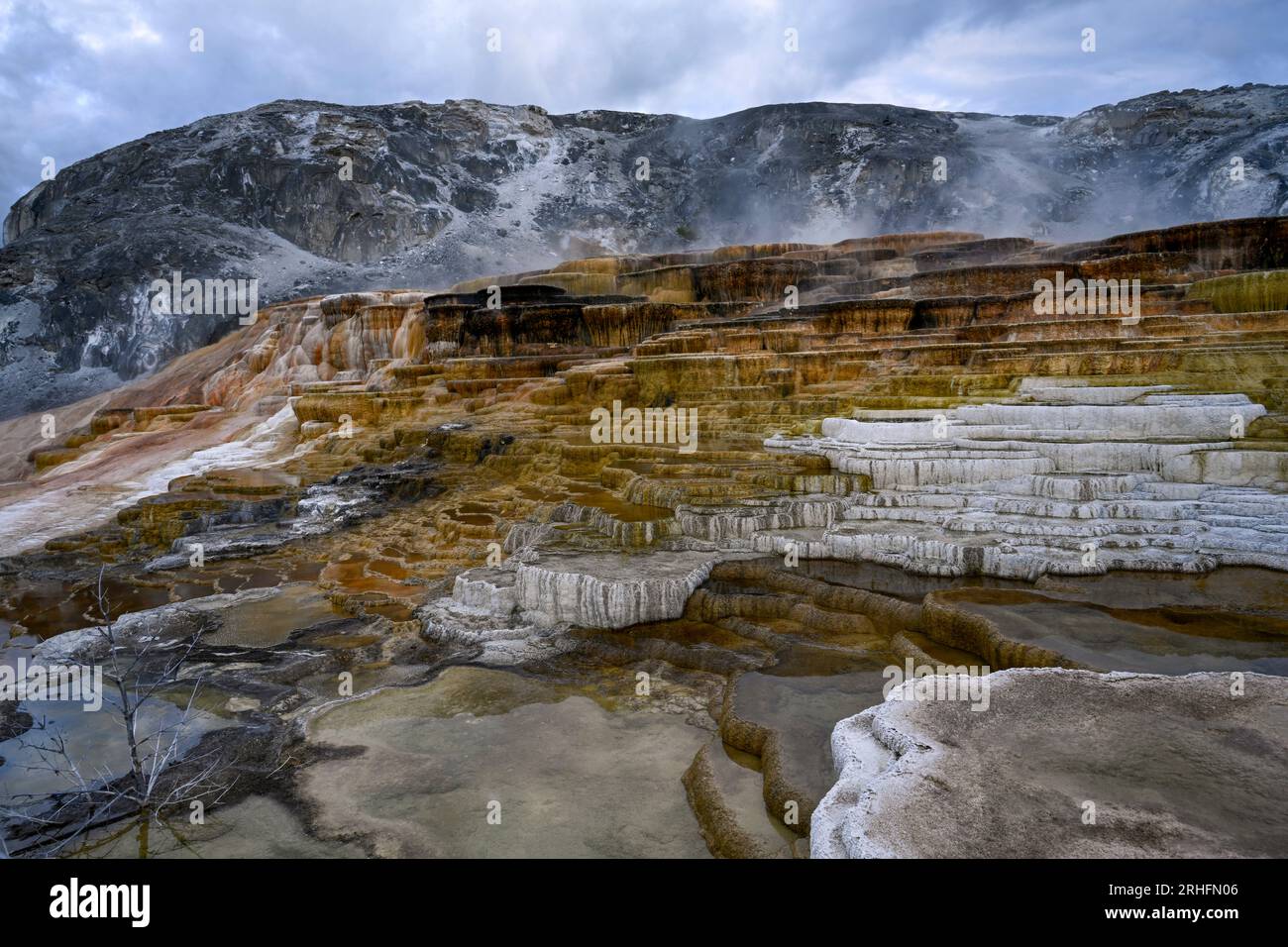 Minerva Terrace. Mammoth Hot Springs. Parco nazionale di Yellowstone. Vicino all'entrata nord. Foto Stock