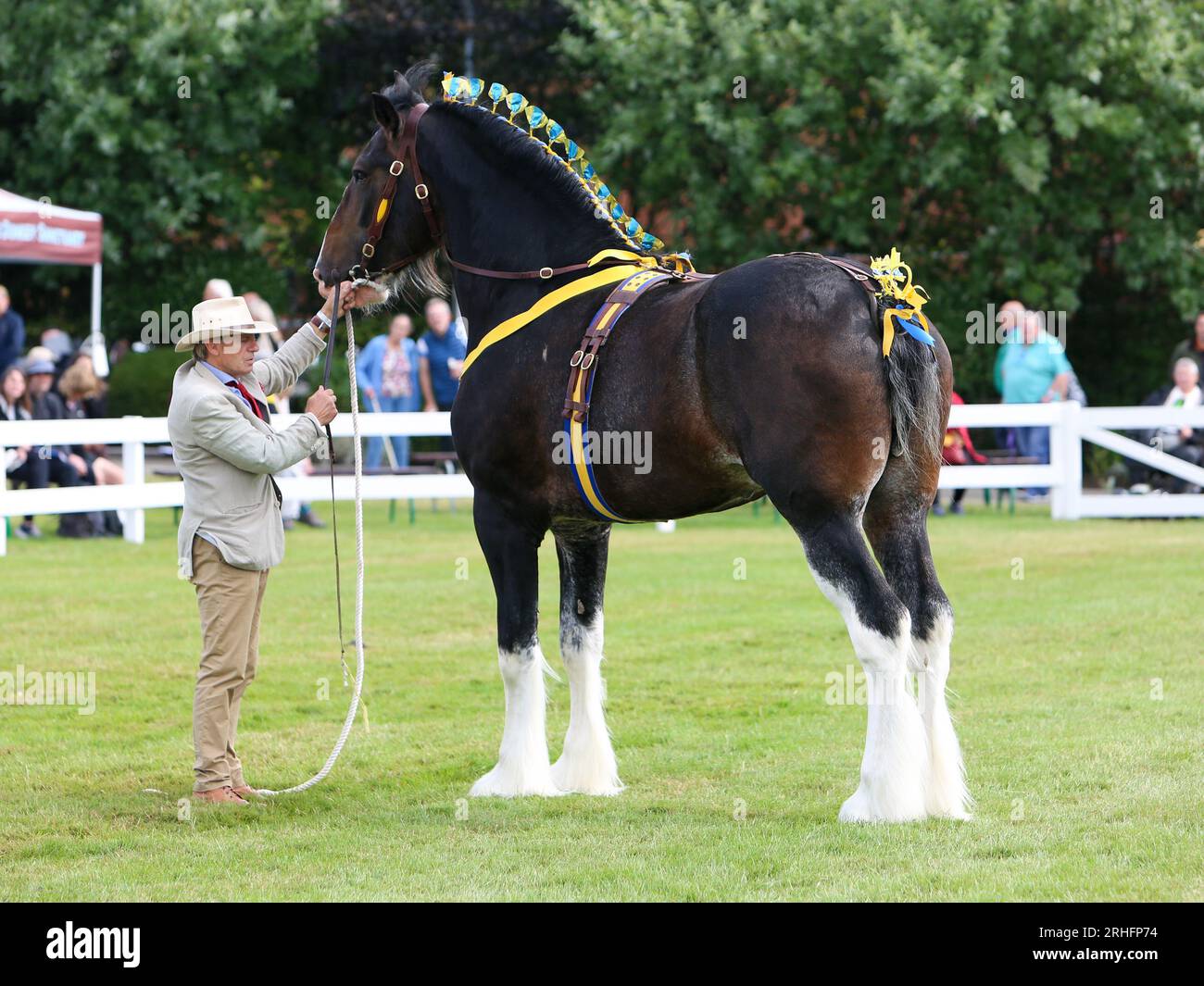 Cavalli di scudo che gareggiano al Great Yorkshire Show del 2023 Foto Stock