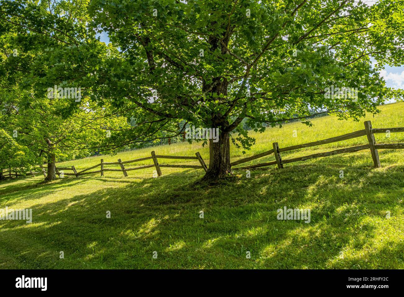 Una vecchia recinzione di legno circonda un campo agricolo Foto Stock
