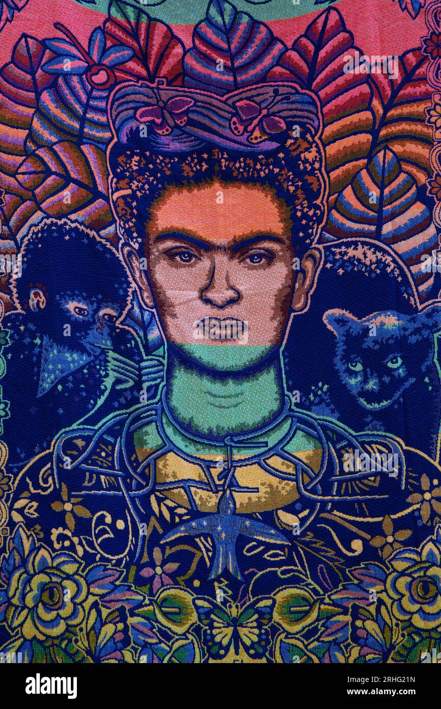 Tessile, immagine di Frida Kahlo, Artigianato in vendita, mercato artigianale, città del Messico, Messico Foto Stock