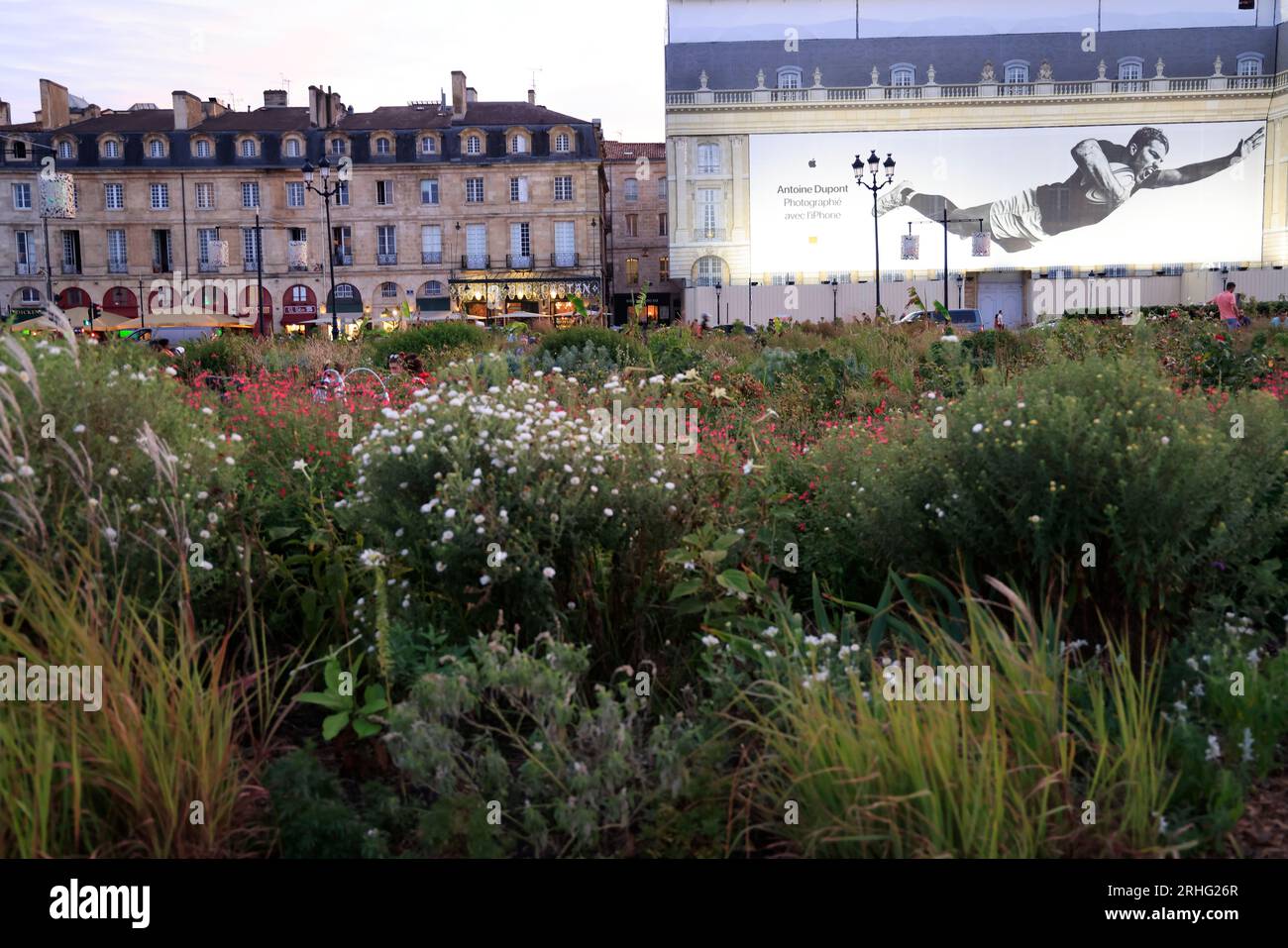Fin de journée sur les quais de Bordeaux. Sur les bâtiments de la Place de la bourse une Photo d'Antoine Dupont de la campagne publicitaire Apple « pH Foto Stock