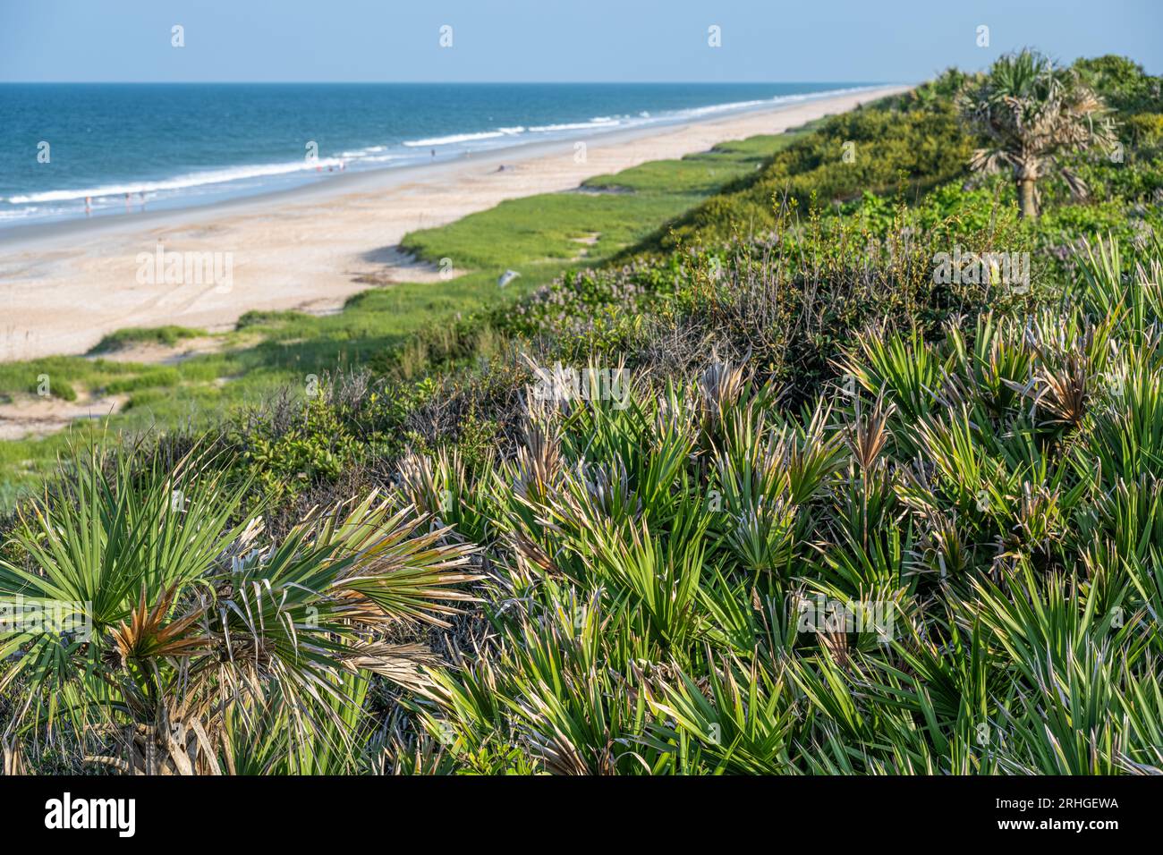 Dune di spiaggia tra la costa e la Florida Highway A1A a Ponte Vedra Beach, Florida. (USA) Foto Stock