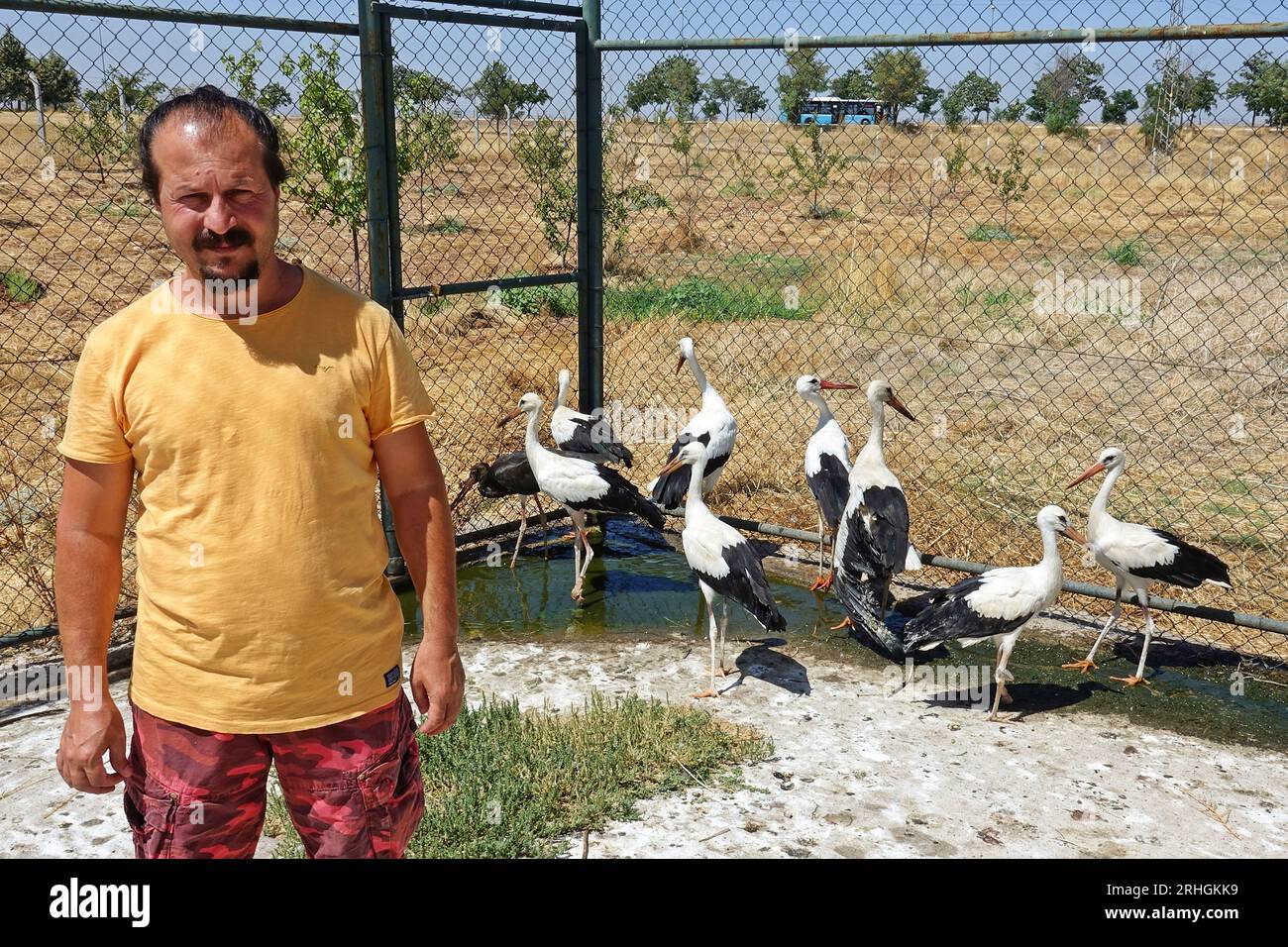 Biologo Prof. Dr. Alaettin Kaya visto con le cicogne in trattamento. Un gran numero di cicogne e altre specie di uccelli che si sono ammalate a causa del riscaldamento globale e del cambiamento climatico sono in cura presso il Dicle Wild Animal Rescue and Rehabilitation Center di Diyarbakir. Il biologo responsabile al centro è Pro. La dottoressa Alaettin Kaya ha dichiarato che le cicogne e gli uccelli non possono nutrirsi perché i loro terreni di alimentazione si sono seccati e sono diventati deboli. Il biologo Kaya ha affermato che poiché gli uccelli non possono volare in alto, le loro ali e i loro piedi rimangono bloccati in fili o reti metalliche e diventano paralizzanti. Il centro Foto Stock