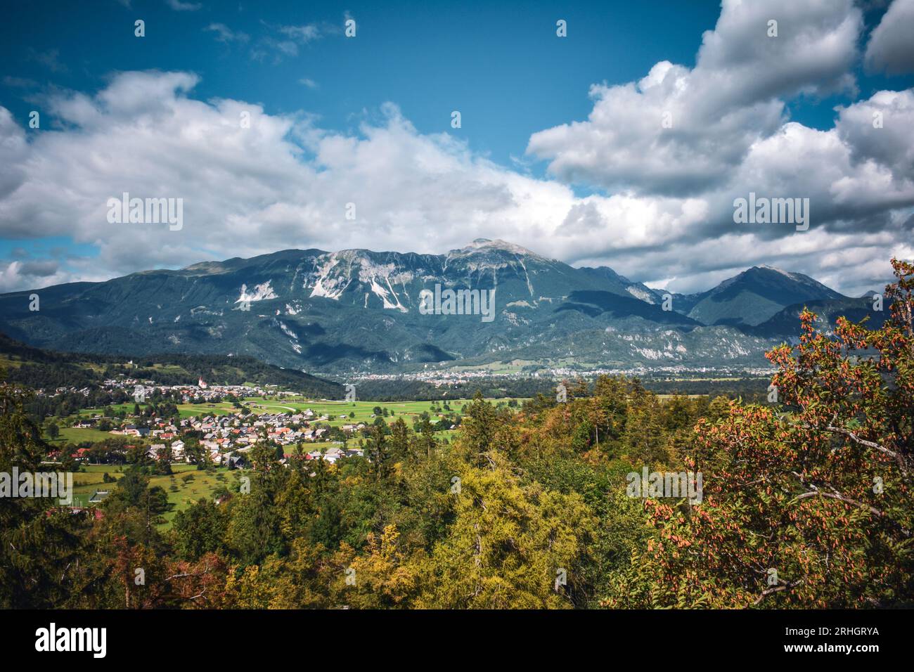Le maestose Alpi nei campi di Bled, Slovenia Foto Stock