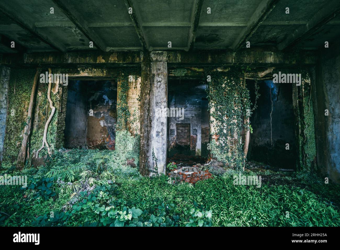 Interno di un vecchio edificio abbandonato in muffa e ricoperto di piante verdi. Foto Stock
